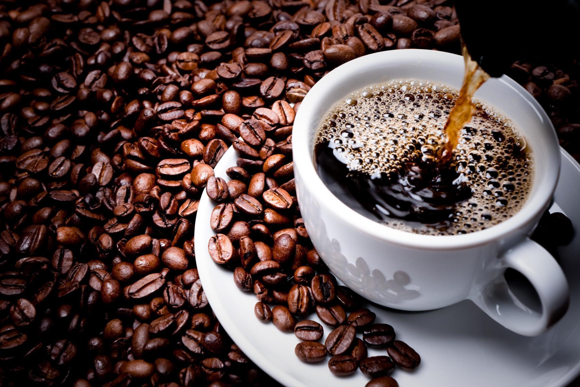 Top 10 nhà cung cấp cà phê giá sỉ chất lượng